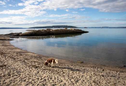 Private Chartered Tour to Akershus Fortress, Oslo Fjord, Bygdoy Peninsula, and Huk in Norway