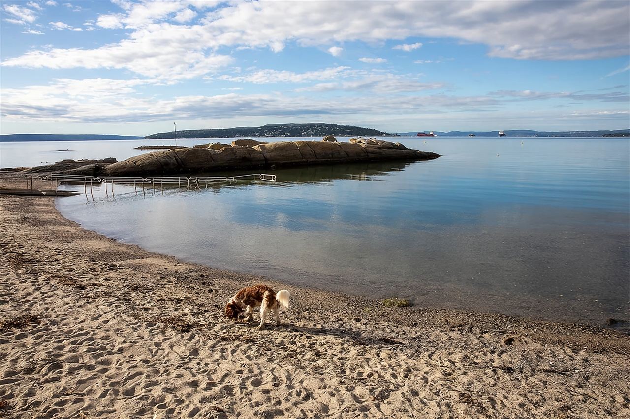 Norway + Akershus Fortress + Oslo Fjord + Bygdoy Peninsula + Huk Beach