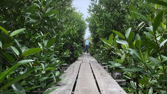 Lawatan Desa Kampot - Ladang Lada, Tasik Garam, Gua dan banyak lagi