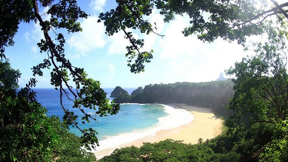 Costa dos Mirantes guided tour