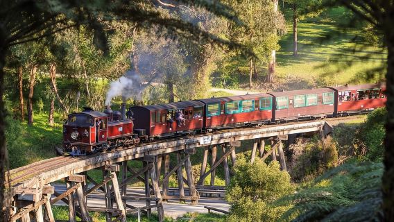tour di un giorno alla ferrovia Puffing Billy + Penguin Island (lingua cinese)