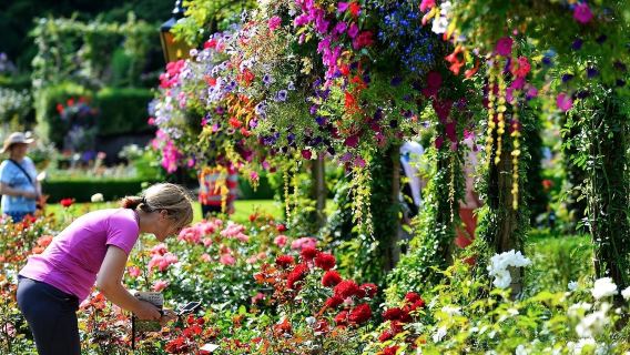 Lawatan Taman Butchart | Langkau Laluan dengan tiket masuk+ Pemindahan Hotel pergi-balik Vancouver