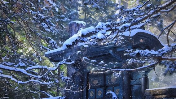 日本東京+日光+華嚴瀑布一日遊/行程可調-可訂製多日