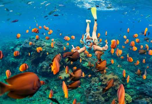 Bali Blue Lagoon Snorkeling with Private Transfer & Lunch