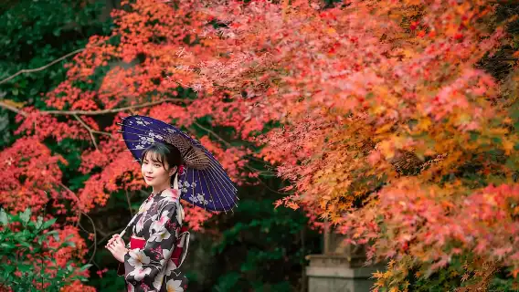 [官方票] JR關西迷你鐵路週遊券 (電子兌換券)