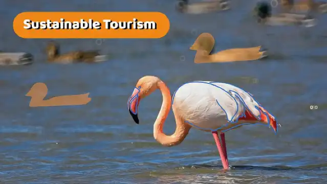 The Original Albufera Tour: Barraca, Boat Ride & Local Guide