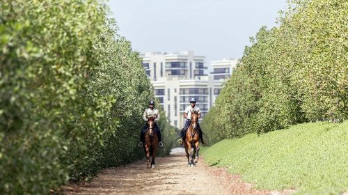 Abu Dhabi Horse Riding Experience 1