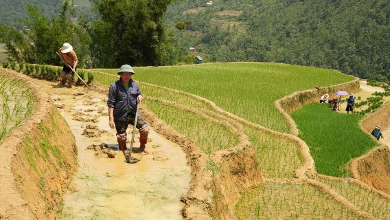 Sapa: Half Day Treck To Visit Y Linh Ho , Lao Chai, Ta Van