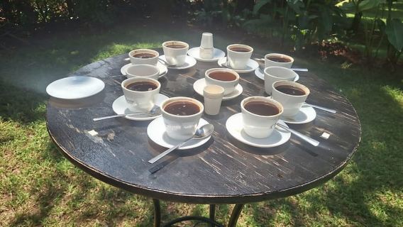 Limuru: Lawatan Berpandu Fairview Coffee Estate