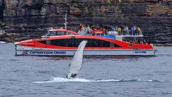 Sydney: Whale Watching & Hop On Hop Off Cruise Package