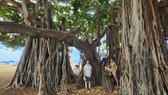 Oahu: Wahana Pemandangan E-bike Diamond Head