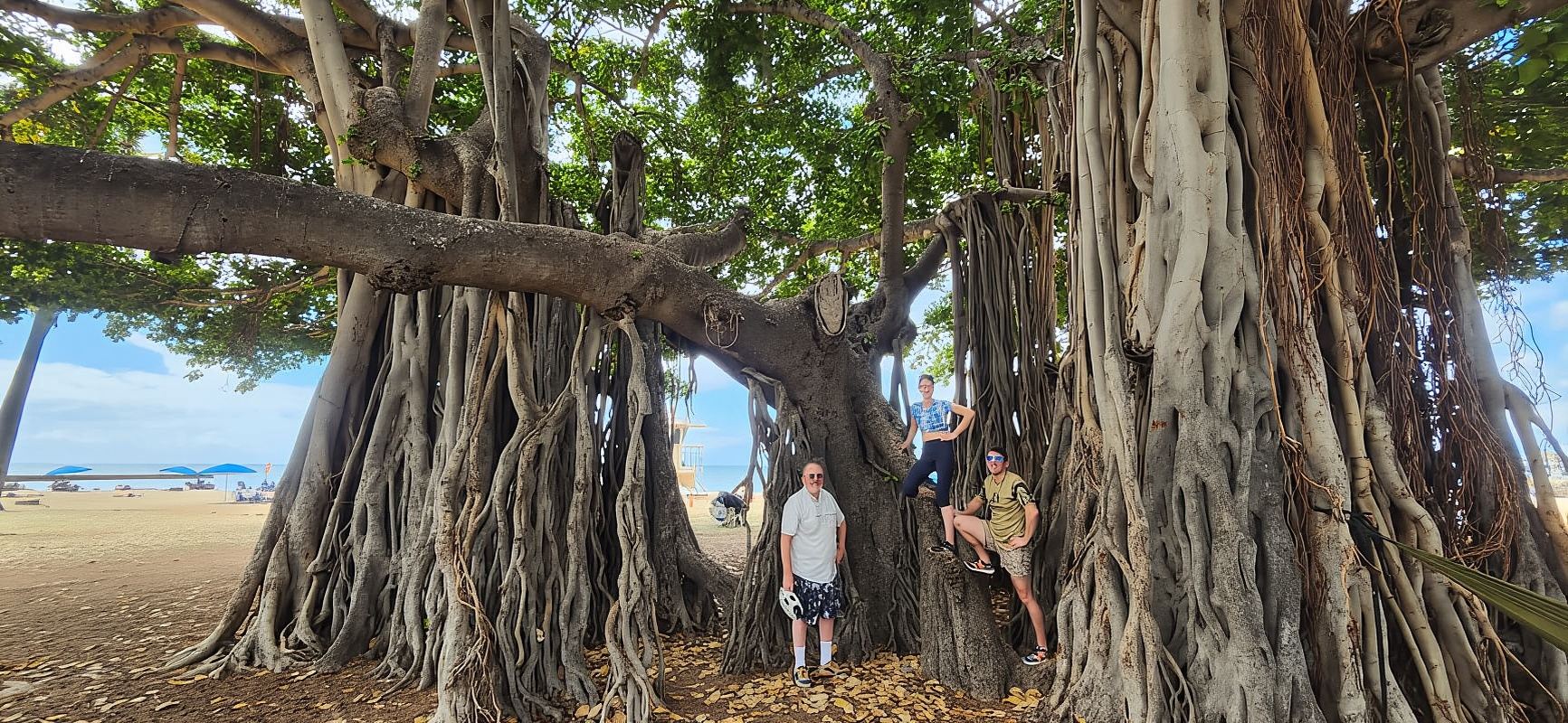 โออาฮู: ทริปปั่นจักรยานไฟฟ้า Diamond Head Scenic Ride