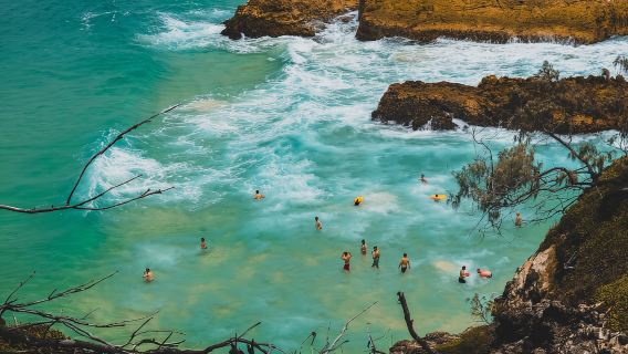 Pulau Stradbroke Utara: Wisata Sehari Melihat Paus, Satwa Liar, & Pantai