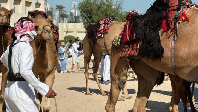 Doha: West Qatar Guided Journey With Pickup & Drop-Off