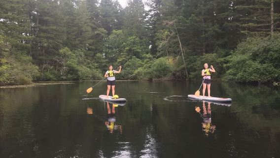 Victoria: Sewa Papan Dayung dengan Peralatan Lengkap