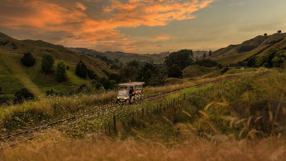 Taumarunui: Forgotten World Rail Cart Tour with Lunch