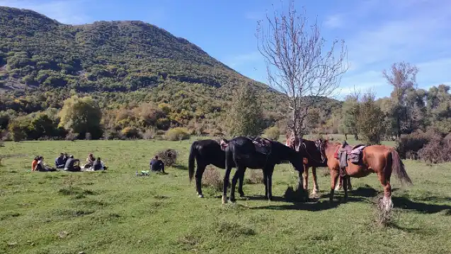 Escape from the city: Cowboy experience with meals & wines