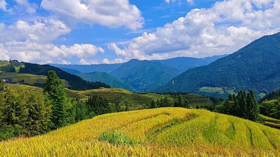 Longji Rice Terraces Long-Hair Minority Village Private Day Trip
