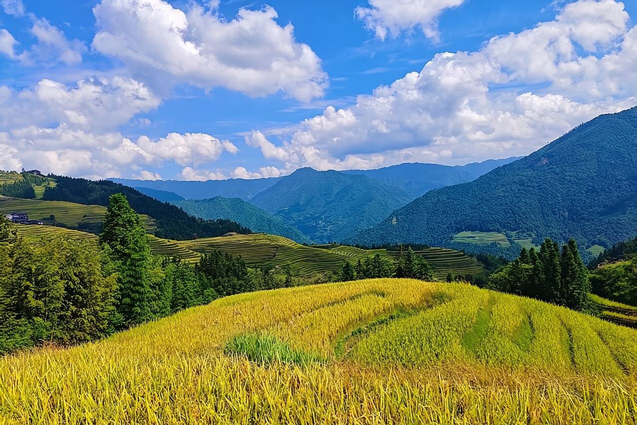Longji Rice Terraces with Minority Village Private Day Tour 