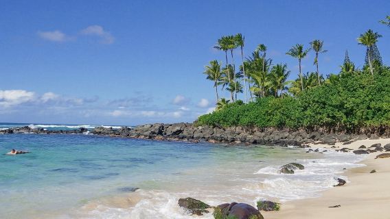 夏威夷拉尼凱海灘+瑪卡布燈塔+噴泉洞觀景台+哈瑙馬灣｜包車※