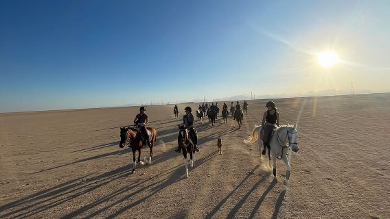Bedouin Dinner, Egyptian Show and Horse Ride tour 1 Hour - Sharm El Sheikh