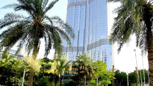 Glimpse of Dubai Day Tours 1