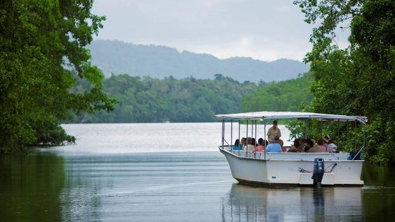 Cape Tribulation, Daintree and Mossman Gorge with Lunch - Full-Day Tour