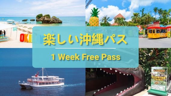 楽しい沖縄パス|沖縄を満喫|1週間フリーパス