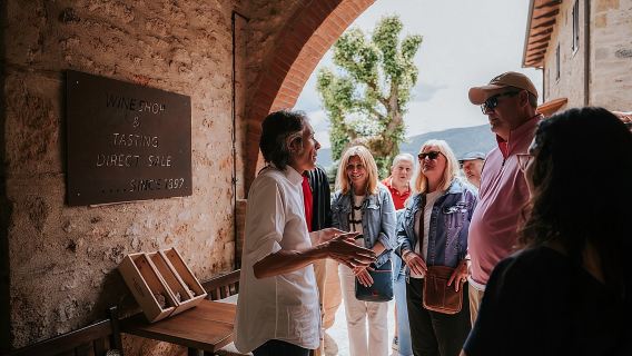 Florence Day Trip: Chianti Wine Tasting, Siena, San Gimignano