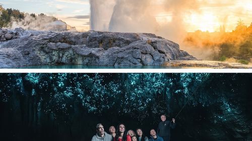 Waitomo Caves & Rotorua - Te Puia Small-Group Tour from Auckland Day Tours