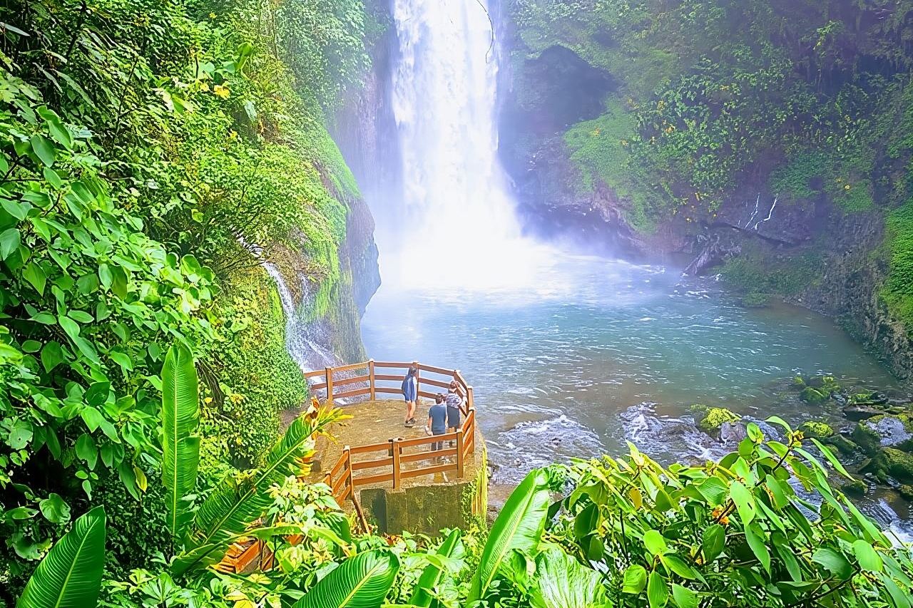 Gita di un giorno alle piantagioni di caffè DOKA e ai giardini delle cascate di La Paz