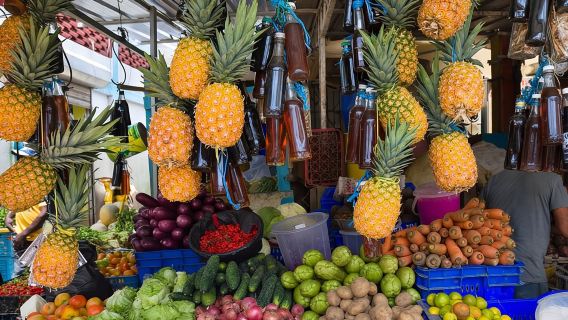 Tour du lịch văn hóa nửa ngày tại Cộng hòa Dominica: Nhóm nhỏ