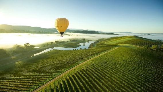 Yarra Valley & Dandenongs Ranges 60-minute hot air balloon ride experience with certificate + flight photos (optional transfer + champagne breakfast)