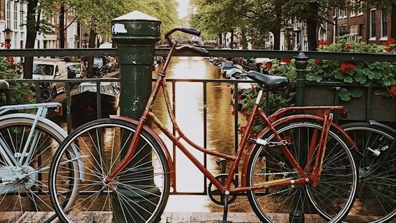 History of Amsterdam and city center semi-private walking tour