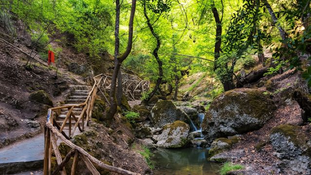 Filerimos Hill with Butterflies Valley Tour from Rhodes