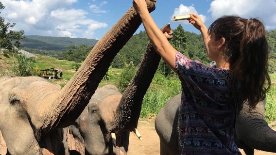 Mae WangTours