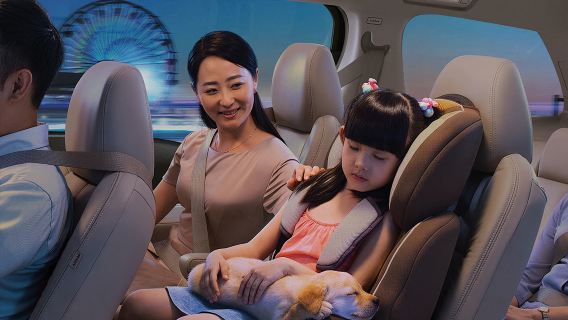 Hong Kong trasferimenti aeroportuali/tour privato con autista per visite turistiche/trasferimenti da/per porto/hotel/lussuoso veicolo commerciale Alphard a 7 posti