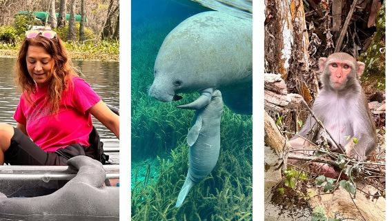 Silver Springs Clear Kayak Manatee, Monkey & Wildlife Adventures