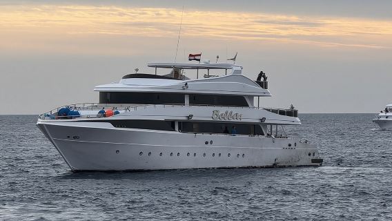 Marsa Mubarak Snorkeling with Dugongs & Turtles From Marsa Alam