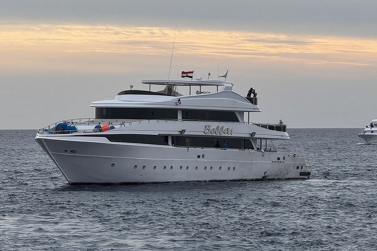 Marsa Mubarak Snorkeling with Dugongs & Turtles From Marsa Alam 