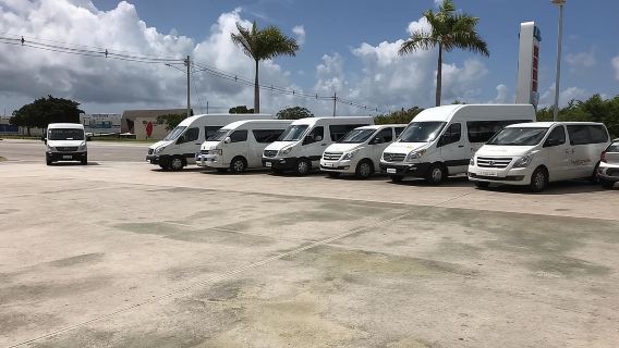 Transfery dla 1–6 osób w rejonie Punta Cana