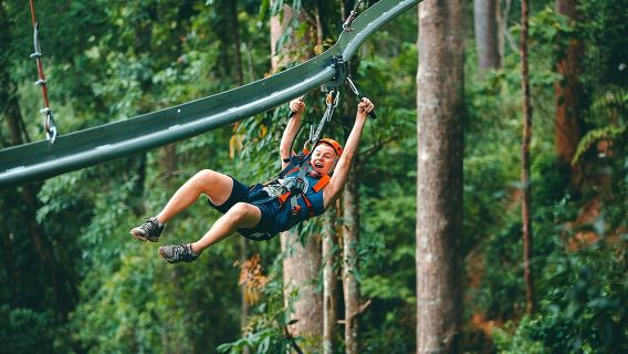 Jungle Flight Zipline Roller Coaster