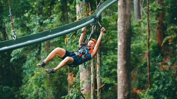 Featured tour with 23 reviews: Jungle Flight Zipline Roller Coaster