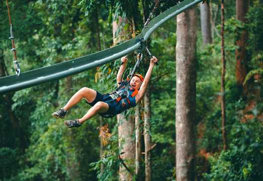 Jungle Flight Zipline Roller Coaster