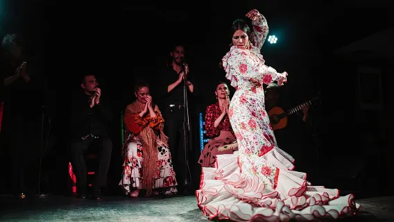 Show Autêntico de Flamenco com Tapas e Vinho em Passeio Guiado