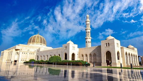 Half-Day Private Muscat City Tour - Top Landmarks in Just 4 Hours