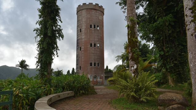 El Yunque Rainforest Guided Day Tour from San Juan