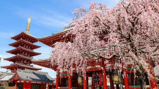 東京1日巴士遊