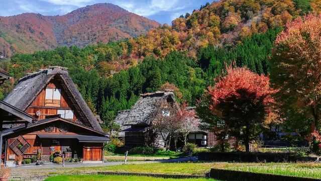 Shirakawa-go Day Tour