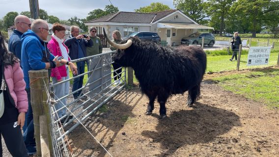 Invergordon Shore Tour: Loch Ness, Distillery and Castles